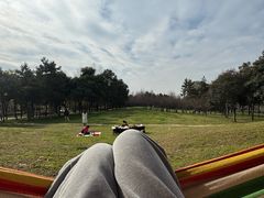 -洨河生态公园