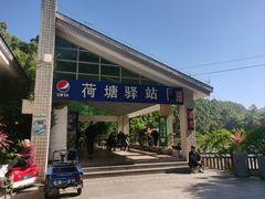 -东莞市大岭山森林公园