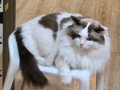 -白兔子密室(长寿路店)