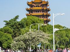 -黄鹤楼公园(黄鹤楼)