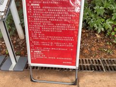 -马王堆汉墓遗址