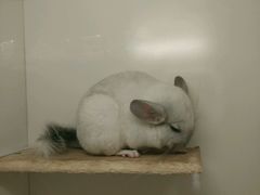 -龙猫仔乐园(惠福东路店)