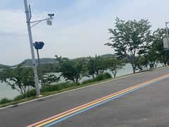 -羊山湖公园