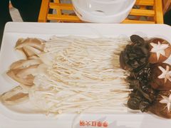 -季季红火锅(动壹店)