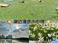 -苏州东太湖生态园