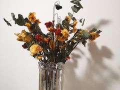 -植物学家的女儿(北马道巷店)