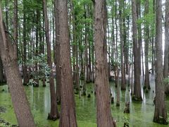 -东湖落雁景区