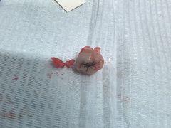 -上海市徐汇区口腔医院