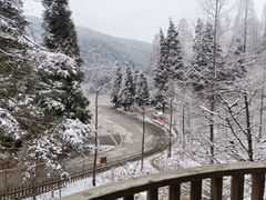 -武陵山森林公园