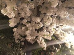 -盒悦高端盒饭(中海国际中心店)