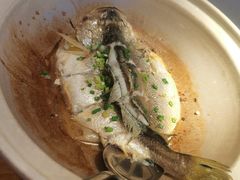 砂锅黄鱼-鱼乐轩·俄罗斯海鲜直供餐厅(群力店)