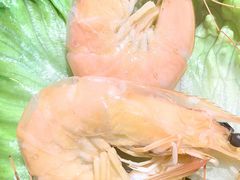 -高佳庄·海鲜酒楼(东港店)