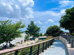 -深圳湾公园(南山区)