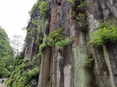 -望天鹅景区