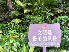 -鹿回头风景区