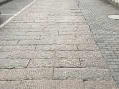 -九华山聚龙大酒店