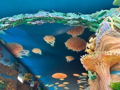 -珠海长隆海洋王国