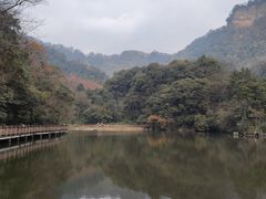-青城山