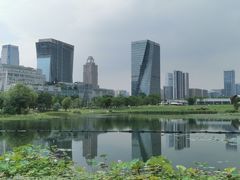 -桂溪生态公园
