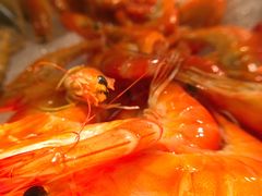 -西安皇冠假日酒店·朱雀咖啡厅