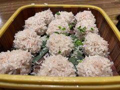 珍珠丸子-九头鹰家宴(岳家嘴店)