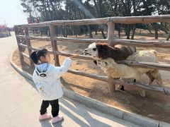 -西霞口神雕山野生动物世界