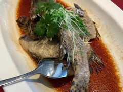 -顺峰(农展馆店)