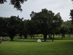-东莞植物园
