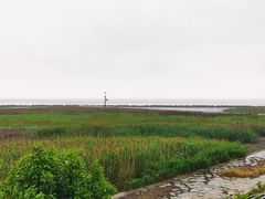 -南汇嘴观海公园
