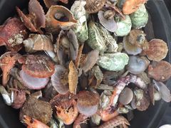 -大锅强·蒸海鲜青岛菜(吾悦广场店)