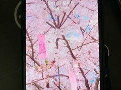 -Apple零售店(济南恒隆广场店)