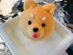 -柴犬高等学院·狗咖·柴犬售卖·宠物训练