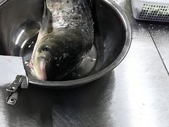 -后湖小院·乡野田园菜