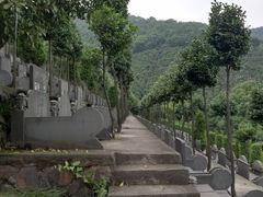 -杭州半山国家森林公园