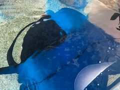 -鸿通城购物中心