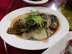 -绿野餐厅(上海动物园店)