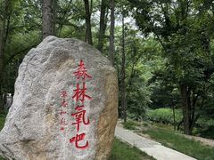 -洛阳白云山景区