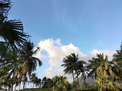 -亚龙湾老厨房·海南家常味