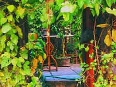 -斯多格书乡(北京大学畅春园店)