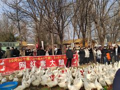 -辛庄国际文化艺术区