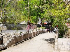 -北京凤凰岭