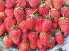 -宋记冕宁土菜馆(海门渔村二店)