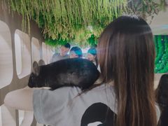 -藦茜花园宠物主题亲子互动体验馆(国顺东路店)