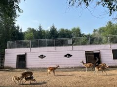 -青藏高原野生动物园