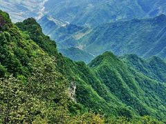 android_upload_pic-秦岭天竺山景区
