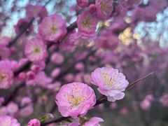 -汉长安城未央宫国家考古遗址公园