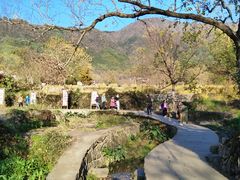 -塔川景区