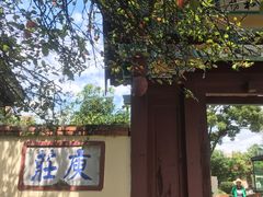 -庾园