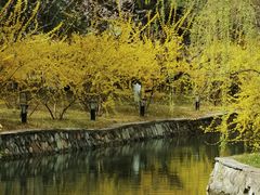 -钓鱼台国宾馆