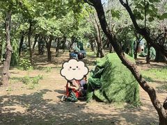 -亲兄弟真人CS团建拓展基地